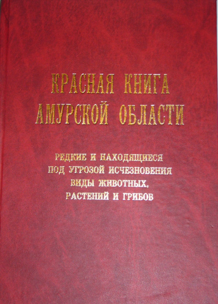 Растения красной книги амурской области презентация