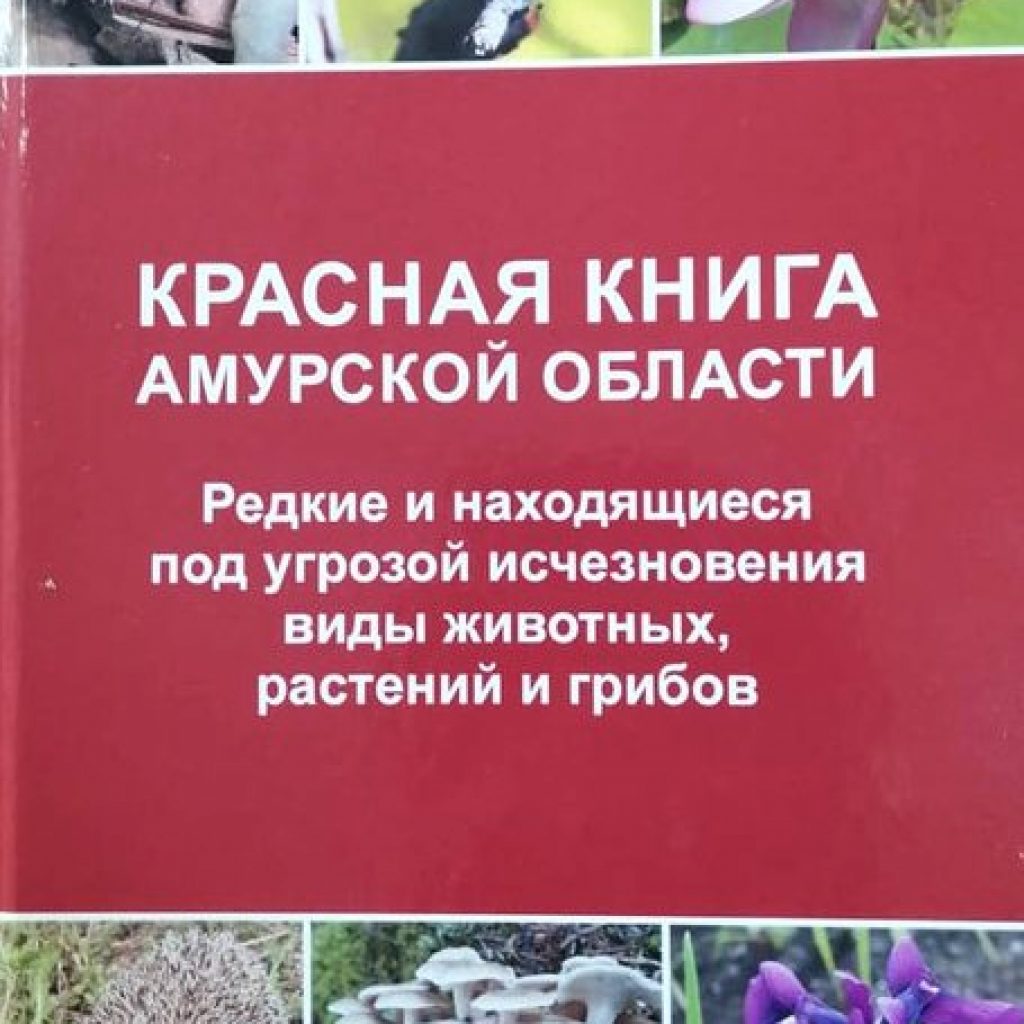 В 2020 году вышло второе издание Красной книги Амурской области | Амурский  филиал Ботанического сада‑института